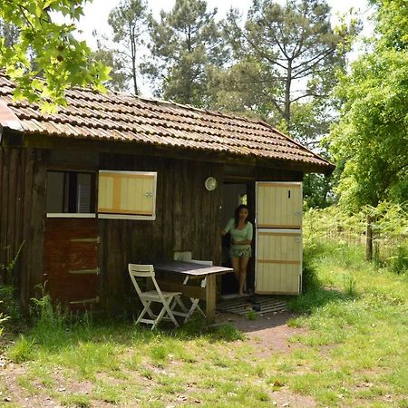 Cabane En Foret Onesse-et-Laharie Εξωτερικό φωτογραφία