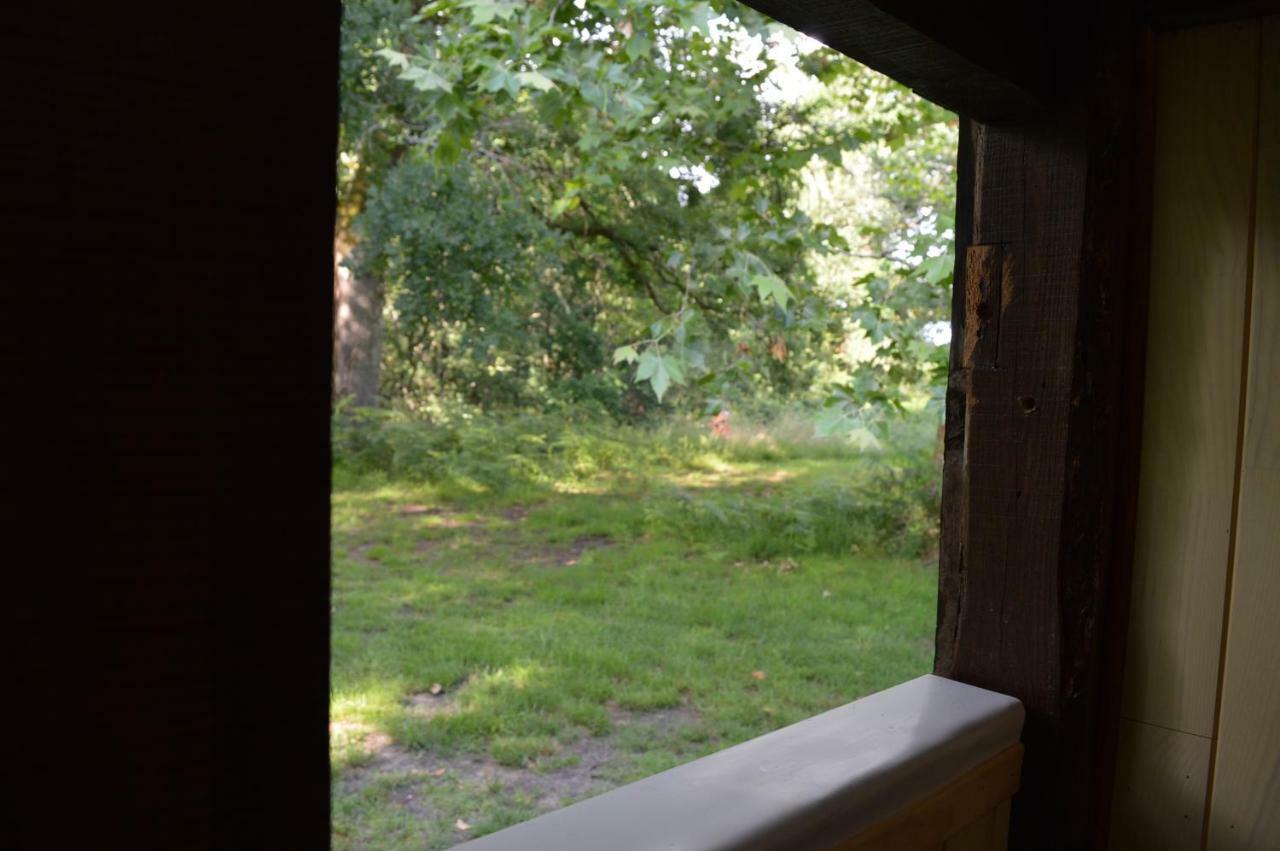Cabane En Foret Onesse-et-Laharie Εξωτερικό φωτογραφία