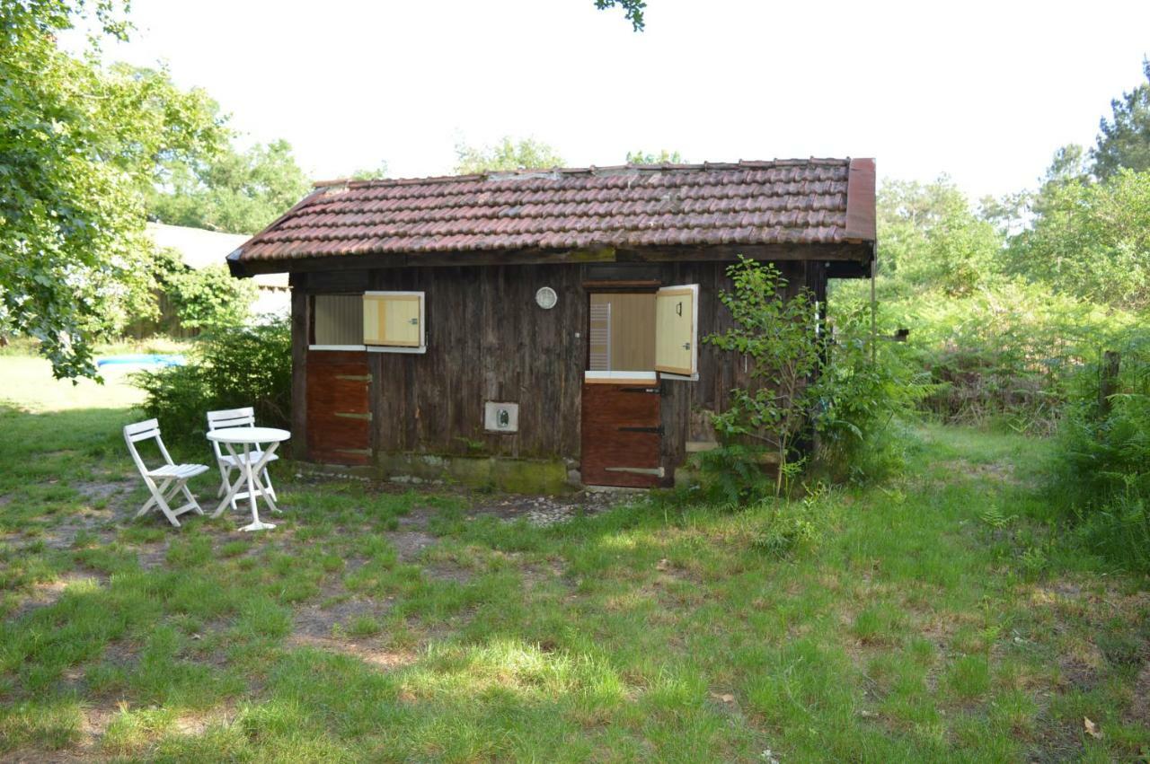 Cabane En Foret Onesse-et-Laharie Εξωτερικό φωτογραφία