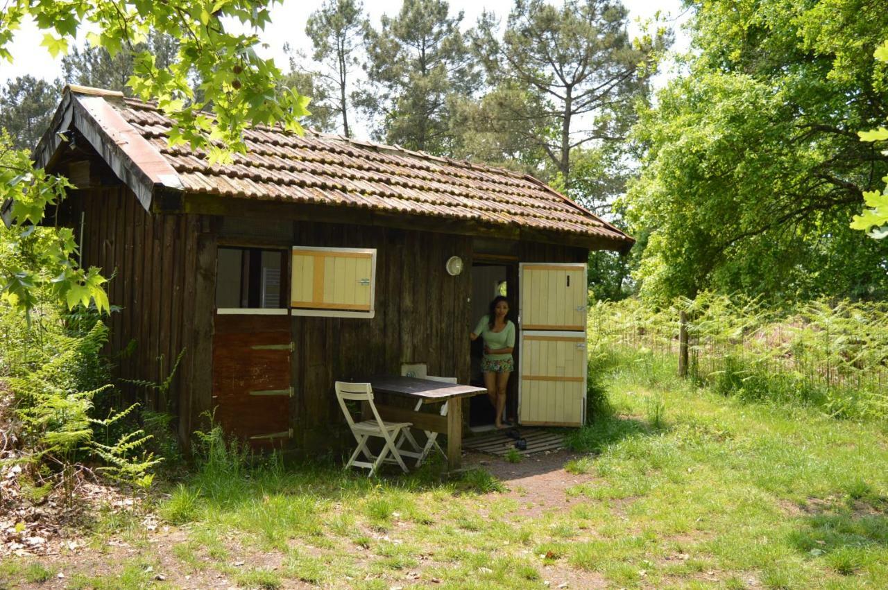 Cabane En Foret Onesse-et-Laharie Εξωτερικό φωτογραφία