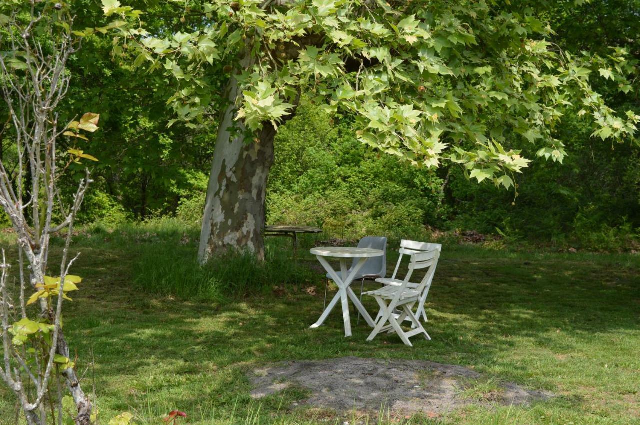 Cabane En Foret Onesse-et-Laharie Εξωτερικό φωτογραφία