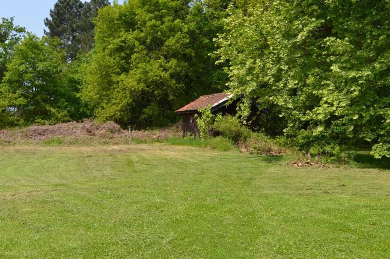 Cabane En Foret Onesse-et-Laharie Εξωτερικό φωτογραφία
