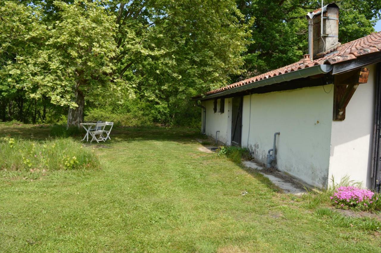 Cabane En Foret Onesse-et-Laharie Εξωτερικό φωτογραφία