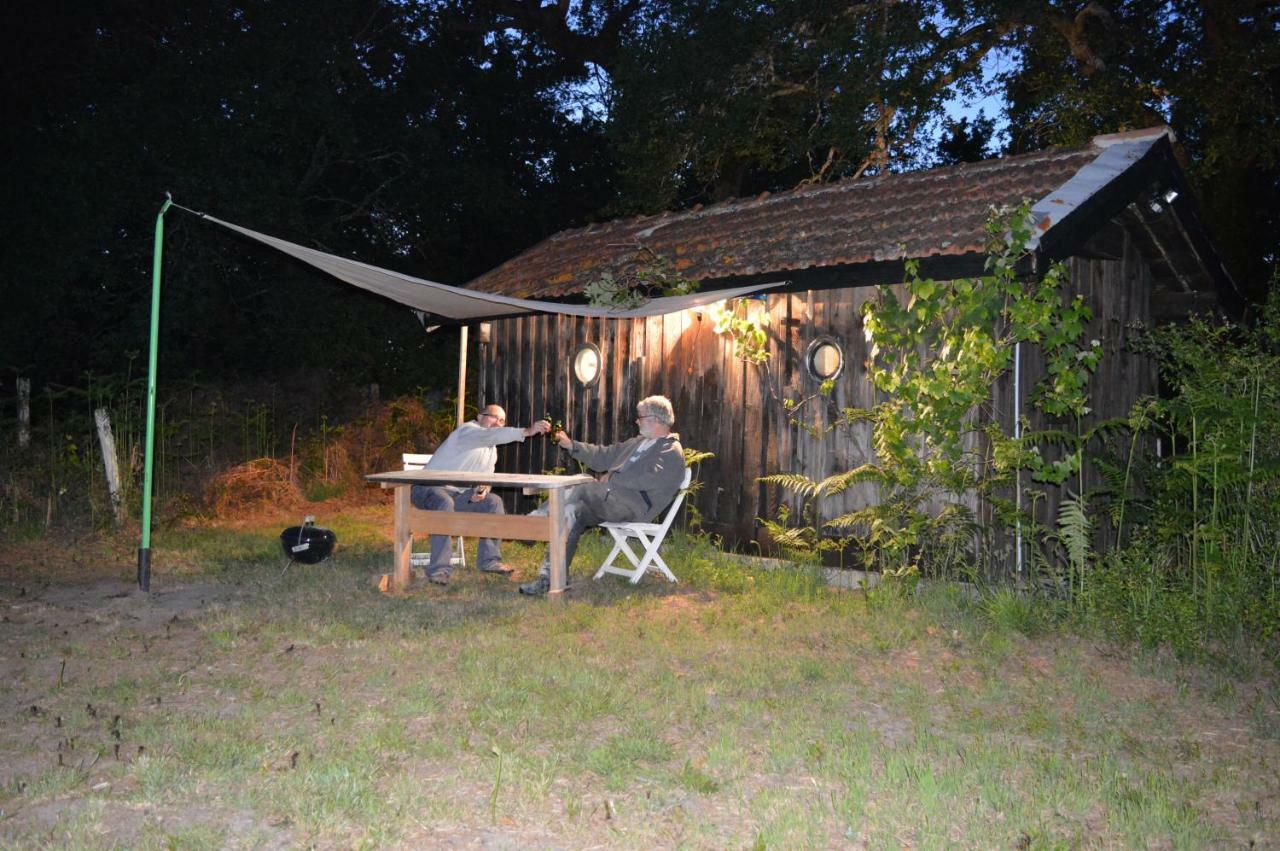 Cabane En Foret Onesse-et-Laharie Εξωτερικό φωτογραφία