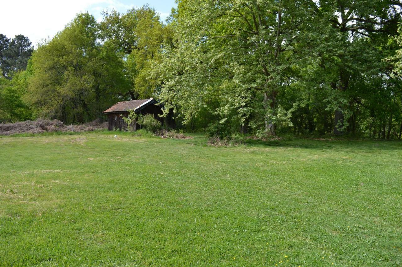 Cabane En Foret Onesse-et-Laharie Εξωτερικό φωτογραφία