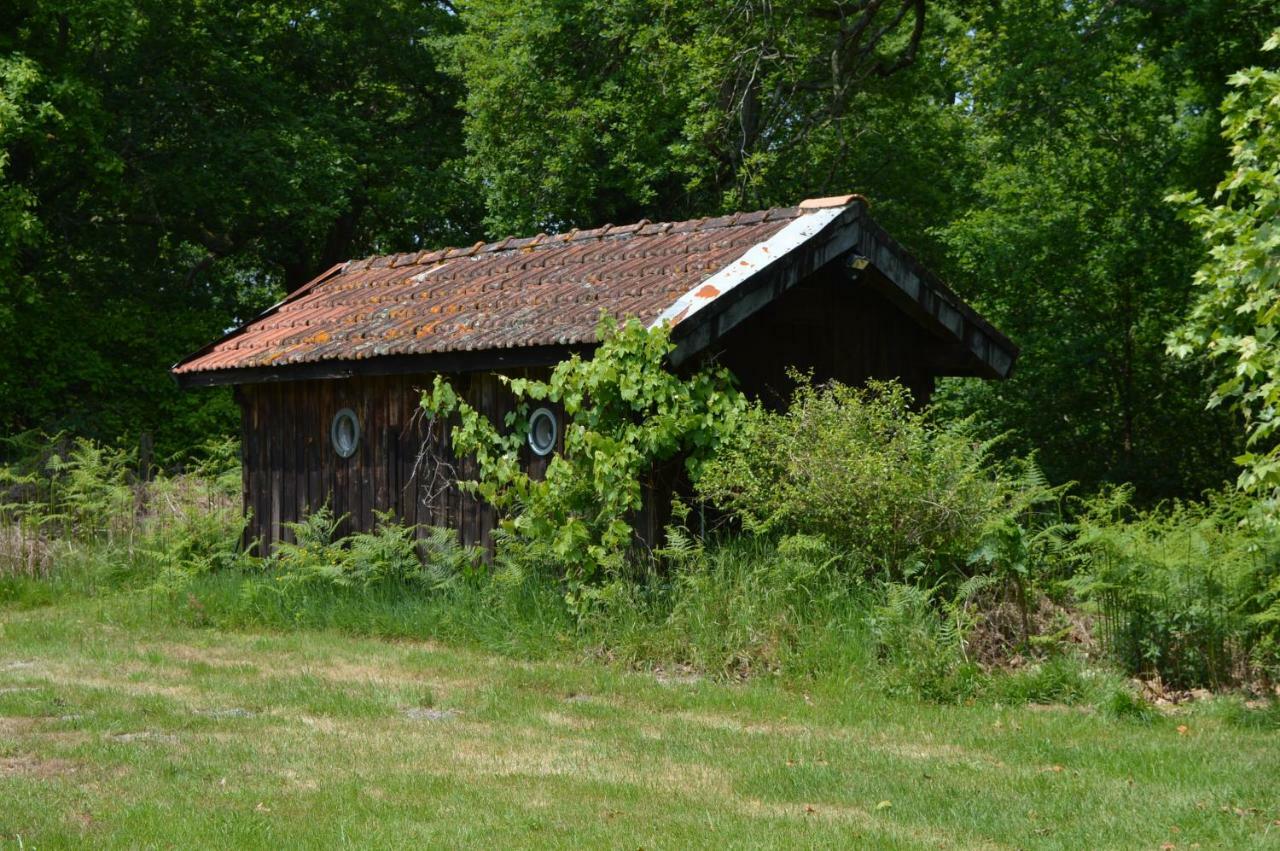 Cabane En Foret Onesse-et-Laharie Εξωτερικό φωτογραφία