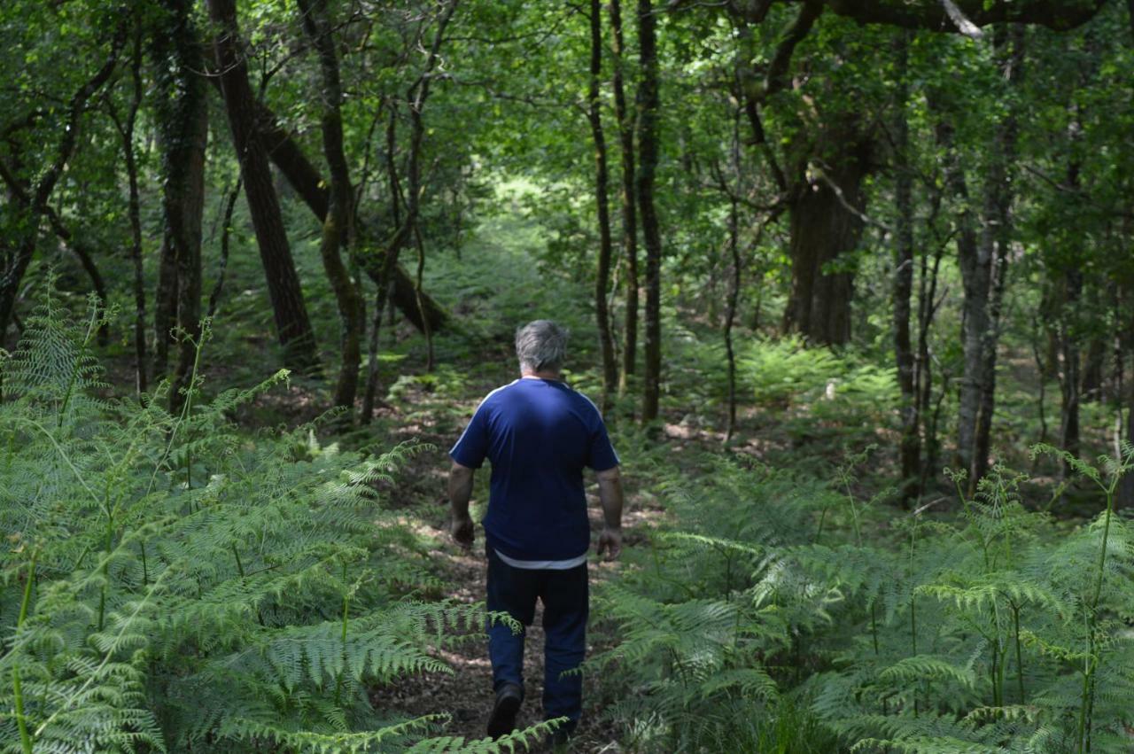 Cabane En Foret Onesse-et-Laharie Εξωτερικό φωτογραφία