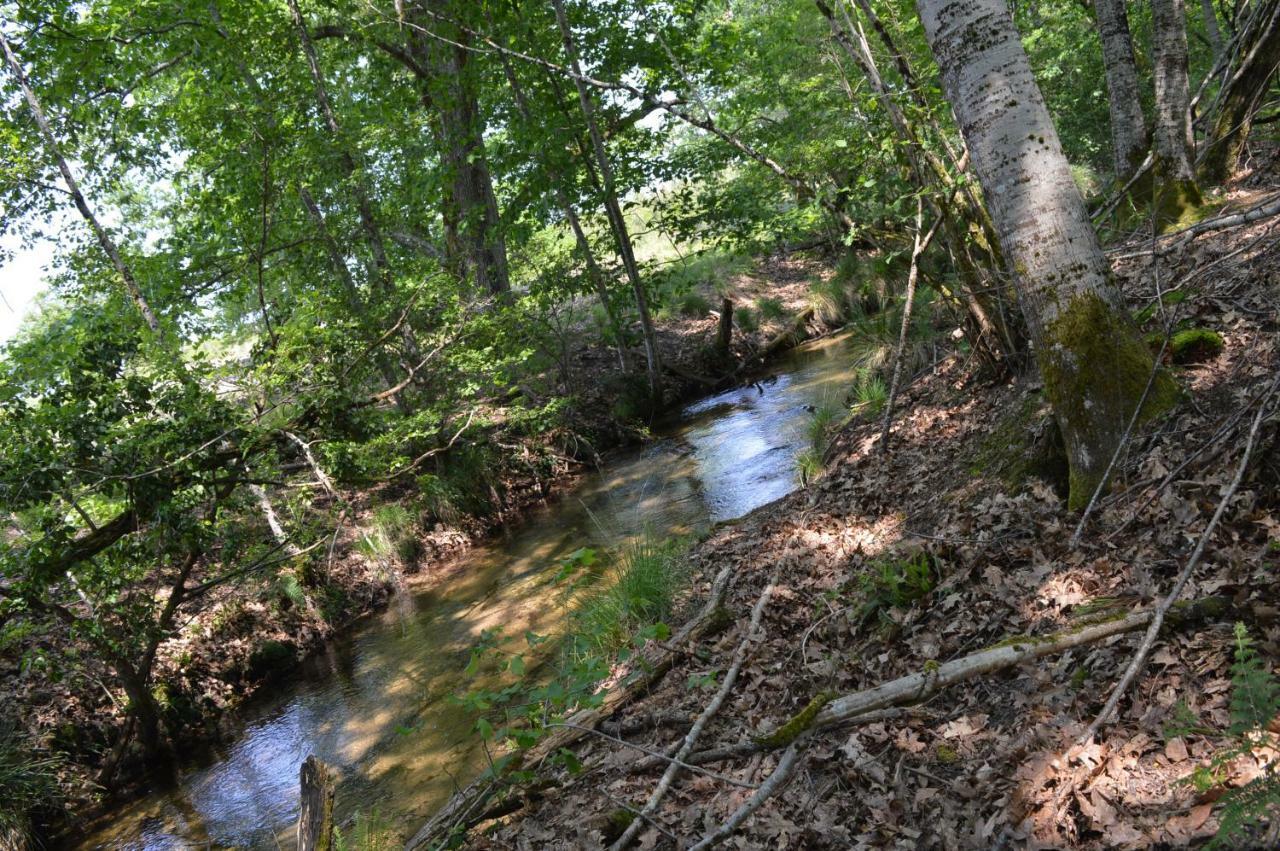 Cabane En Foret Onesse-et-Laharie Εξωτερικό φωτογραφία