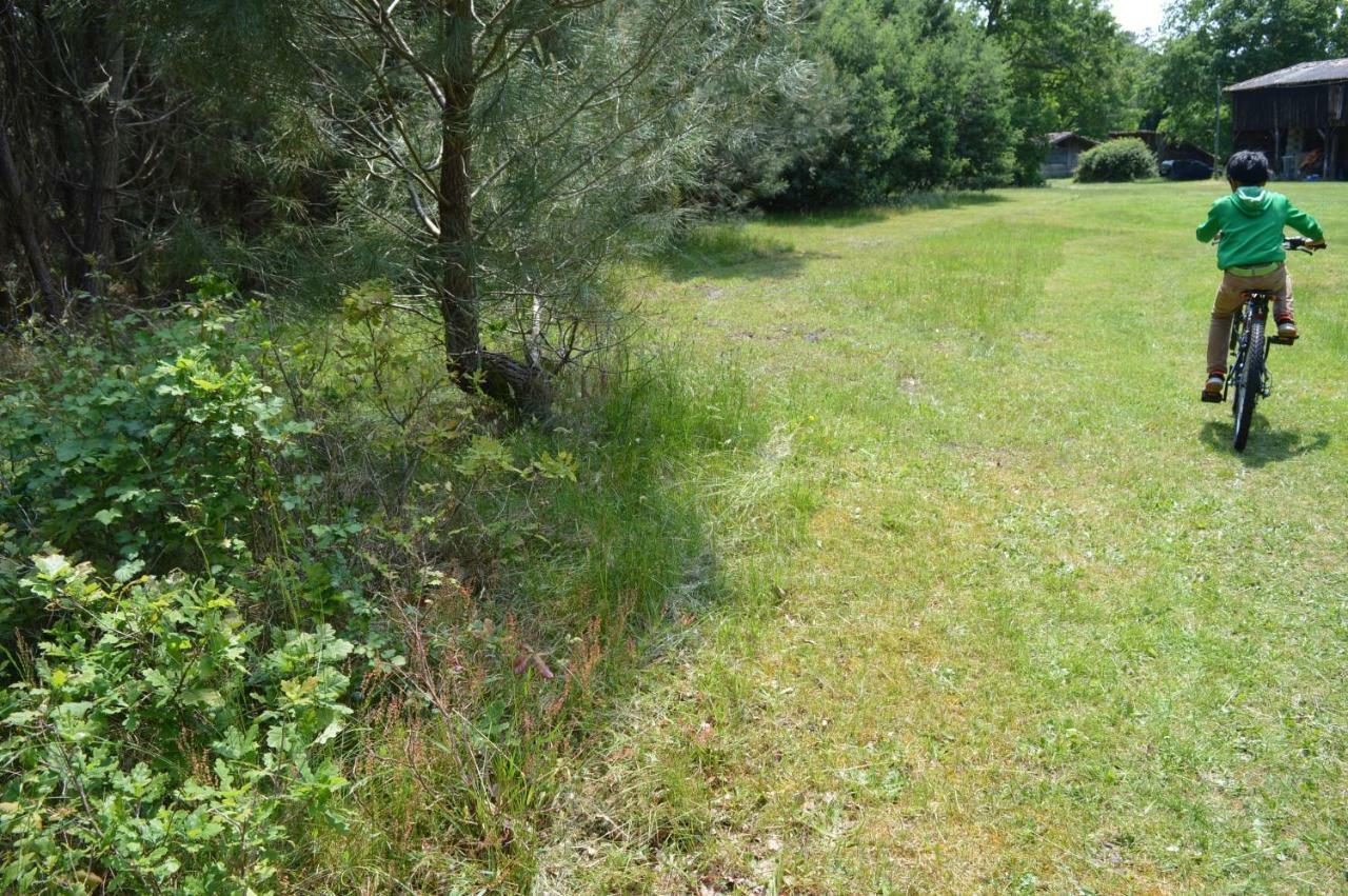 Cabane En Foret Onesse-et-Laharie Εξωτερικό φωτογραφία