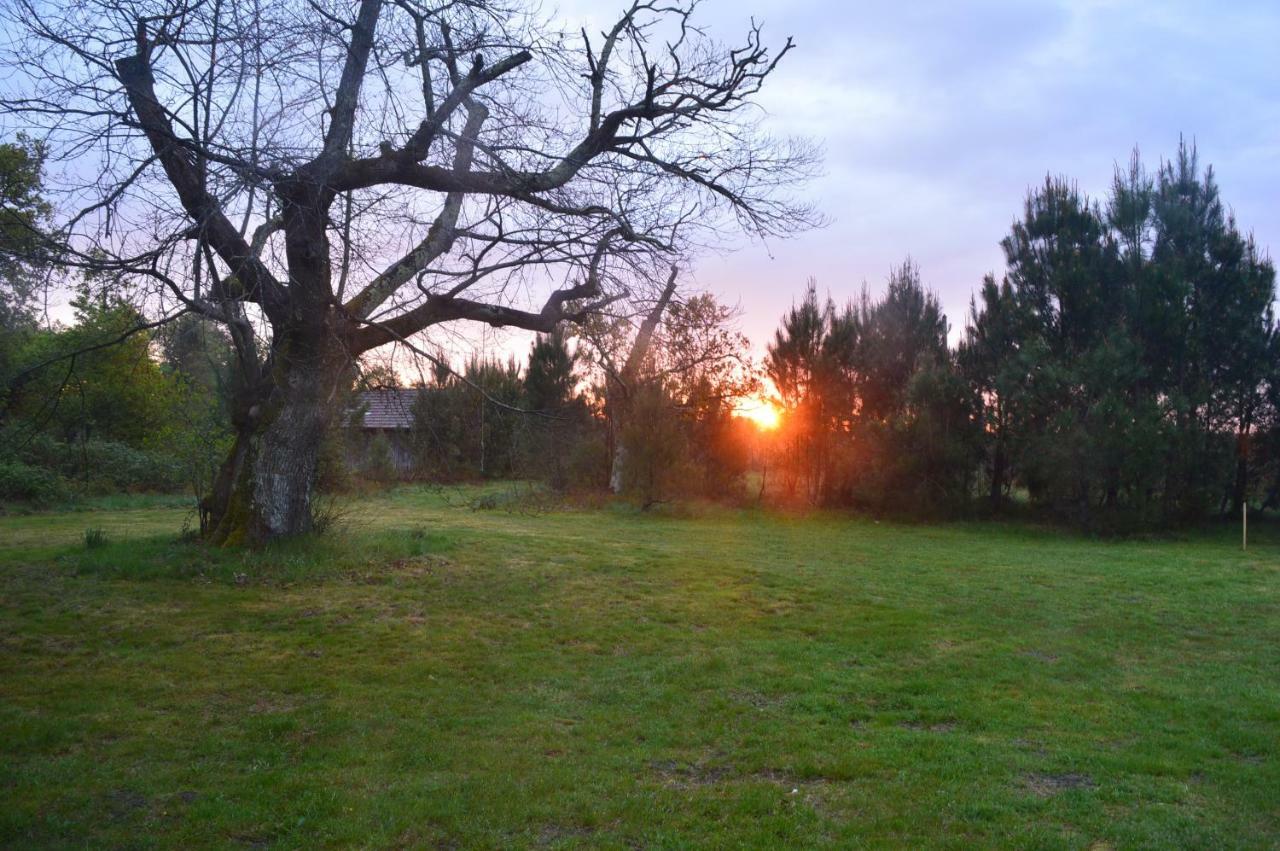 Cabane En Foret Onesse-et-Laharie Εξωτερικό φωτογραφία